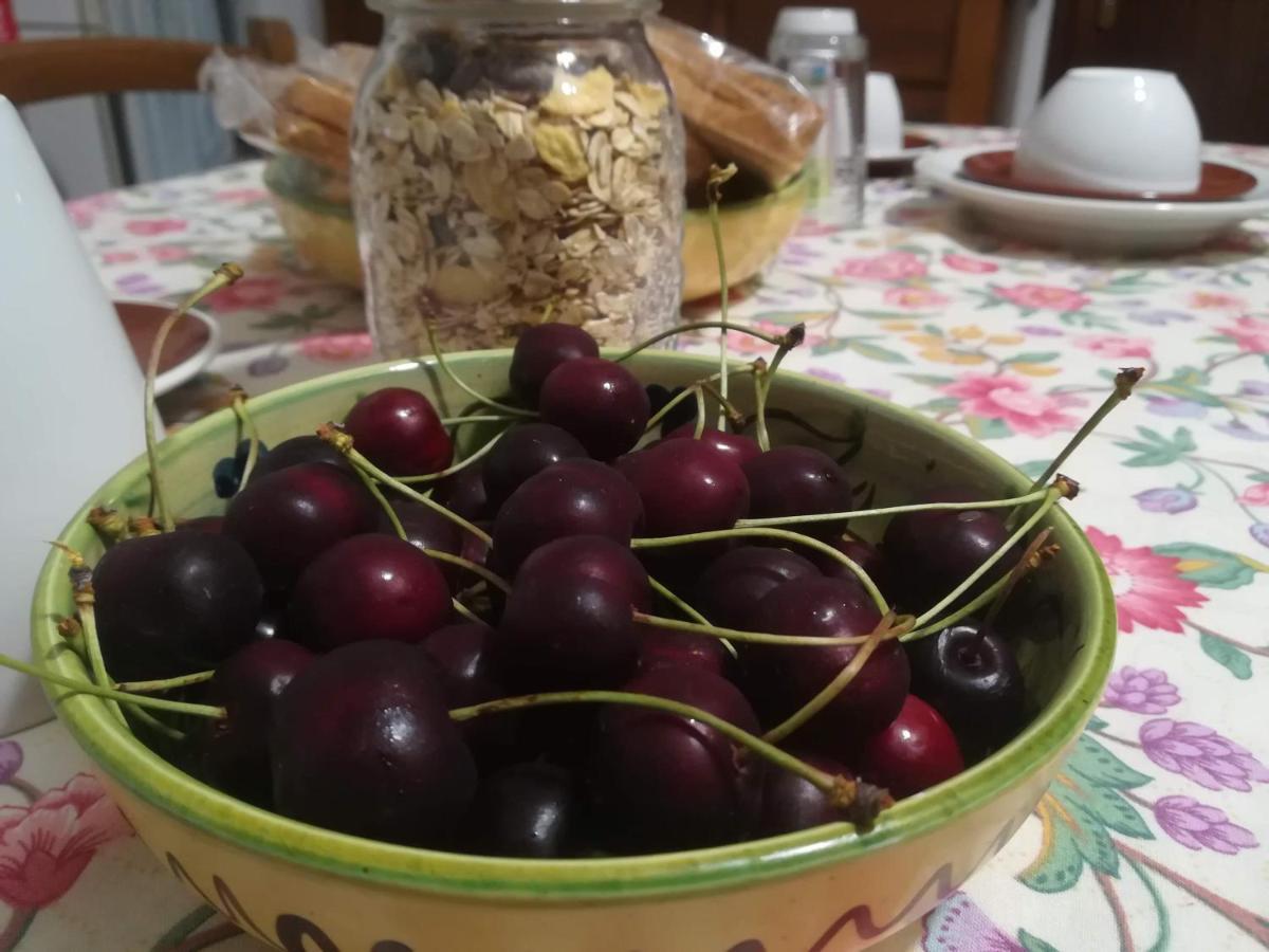 A Casa Di Carla B&B San Raffaele Cimena Екстериор снимка